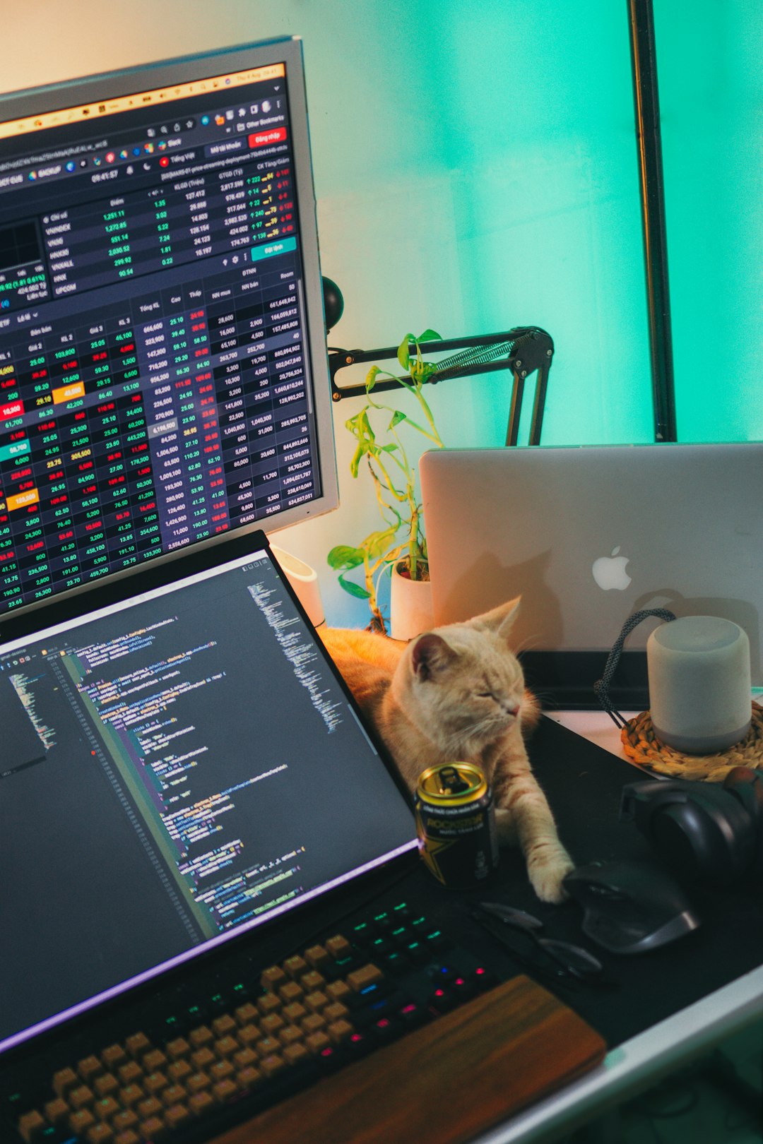Blog Post 3